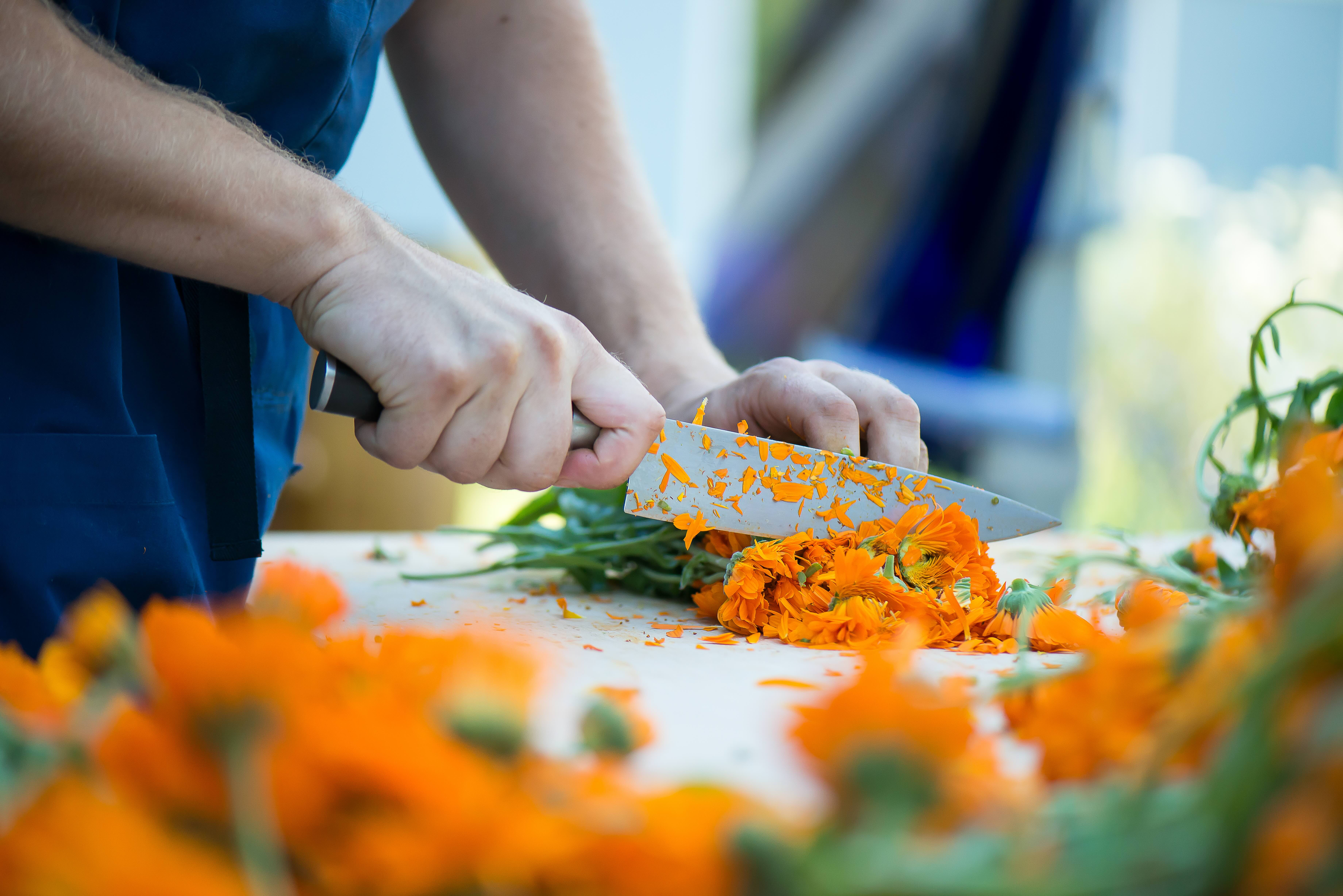 2017_07_06_calendula_ernte_ekkharthof_rvb_DSC_3407.jpeg