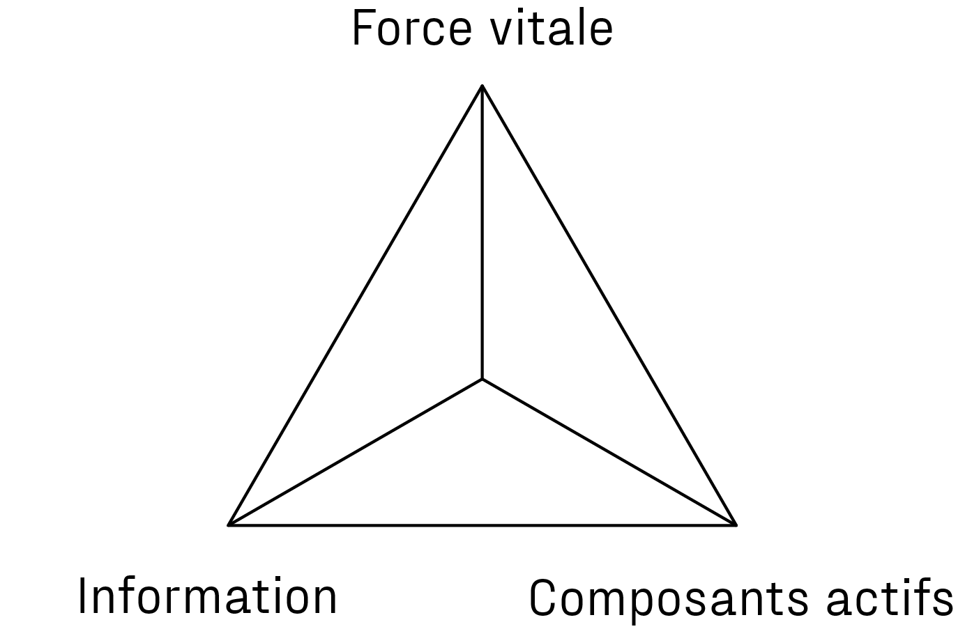 2026 Wirkdreieck FR Schwarz