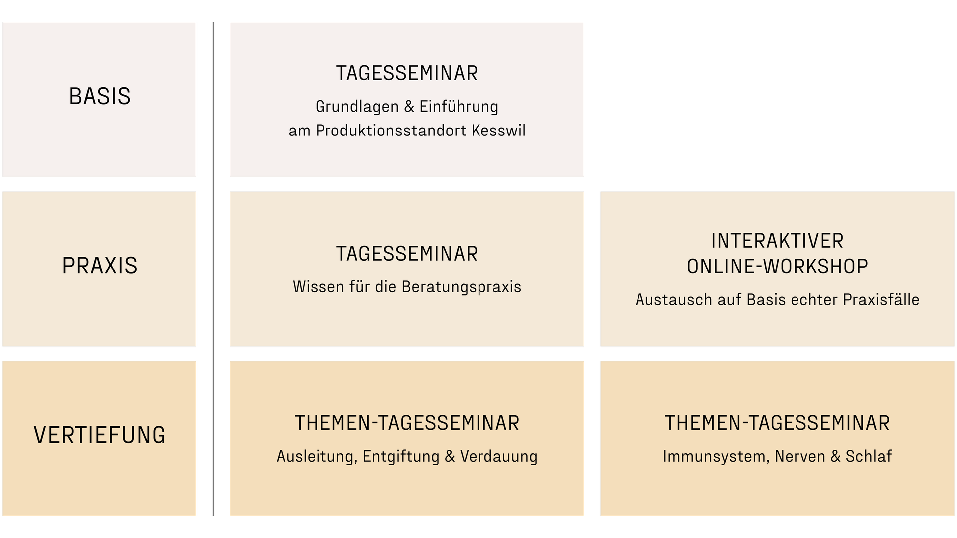 Basis, Praxis und Vertiefung