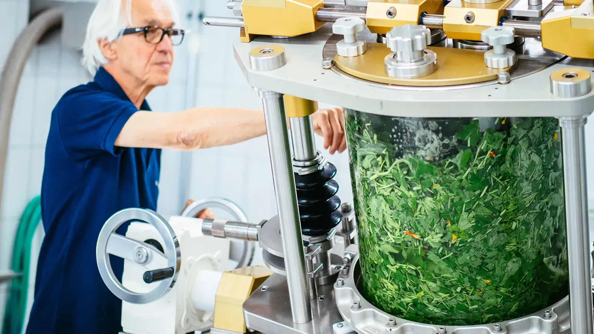Un homme âgé utilise une machine industrielle traitant des feuilles vertes, dans un environnement de laboratoire ou d'usine.