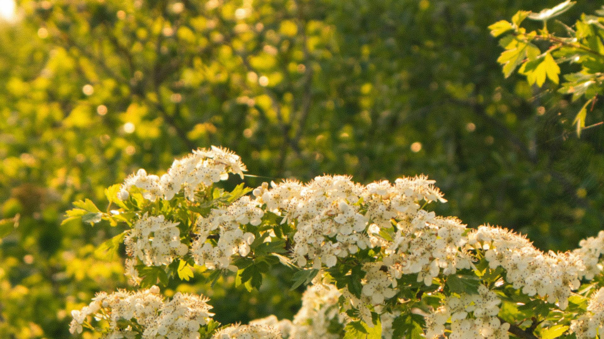 pexels-taraschuiko-12165530.jpg
