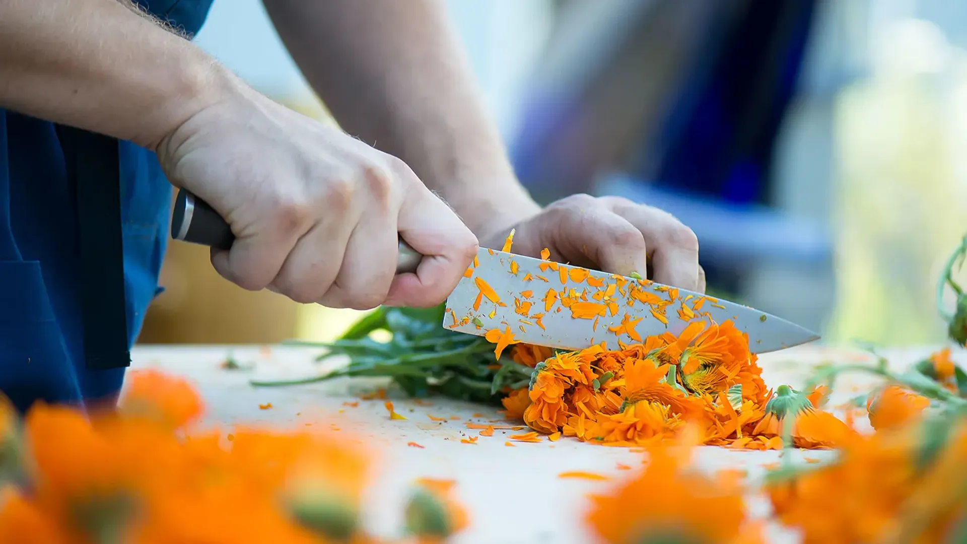 Une personne coupe des fleurs oranges avec un couteau sur une table.