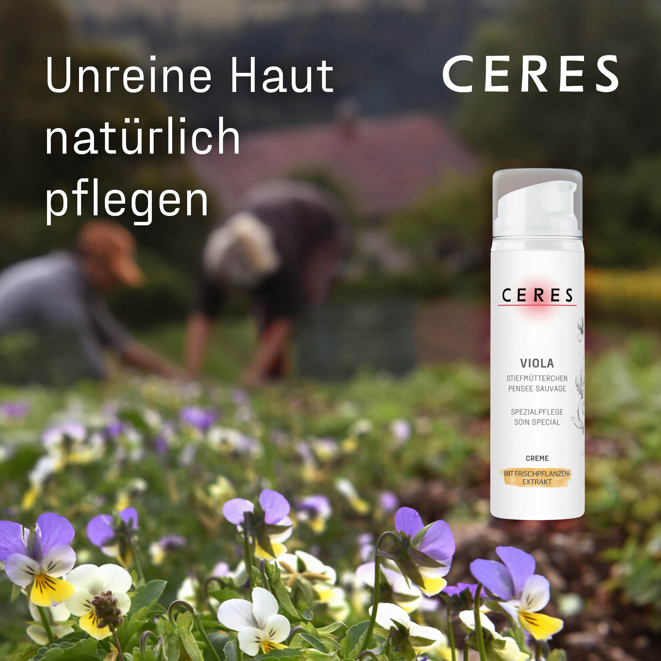mit Frischpflanzen-Extrakt aus Stiefmütterchen · Ceres Heilmittel
