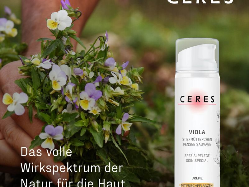 mit Frischpflanzen-Extrakt aus Stiefmütterchen · Ceres Heilmittel